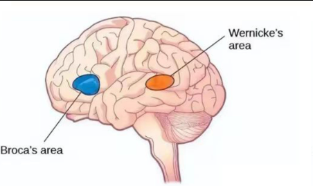 1757936720418598.png